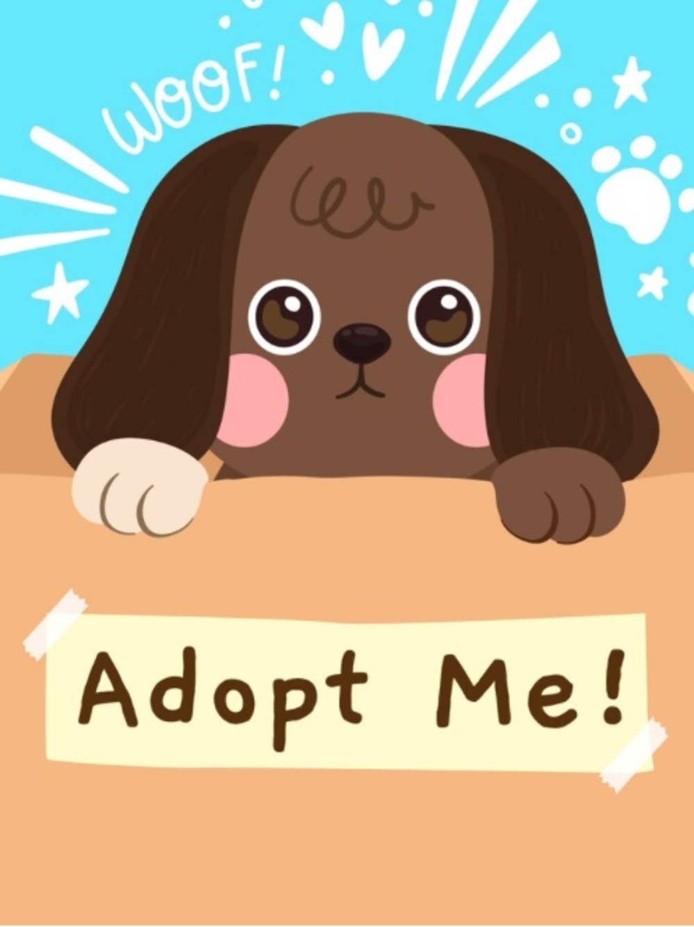 Pets section - Picture 1 of 1